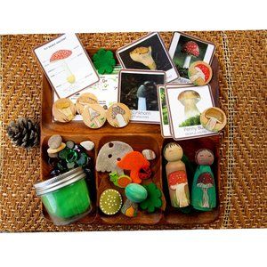 Montessori Mushroom Life Cycle, Waldorf, Preschool